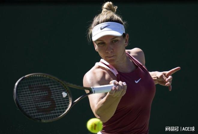 分析师的期 分析师的期