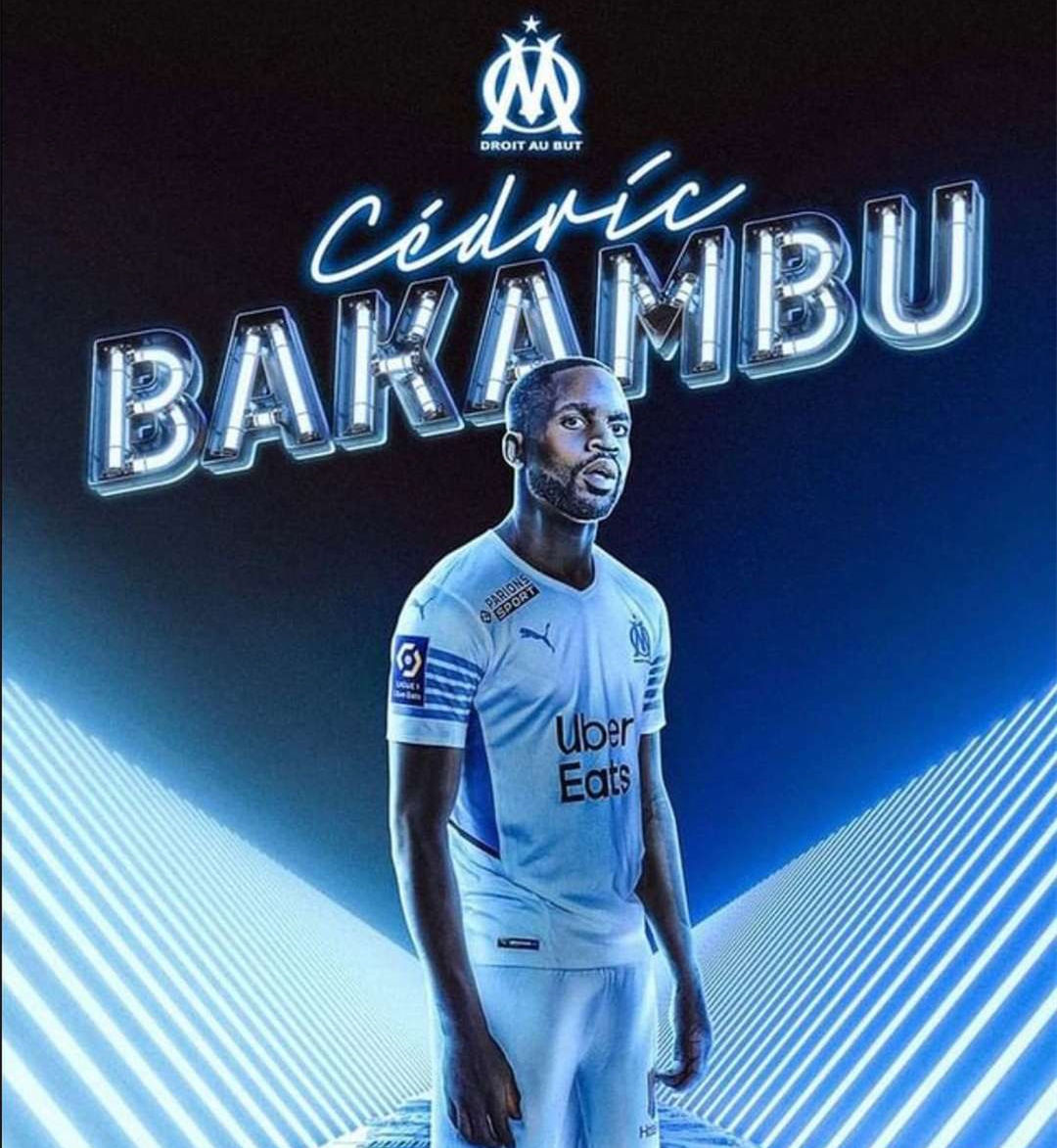 在这个团队 在这个团队