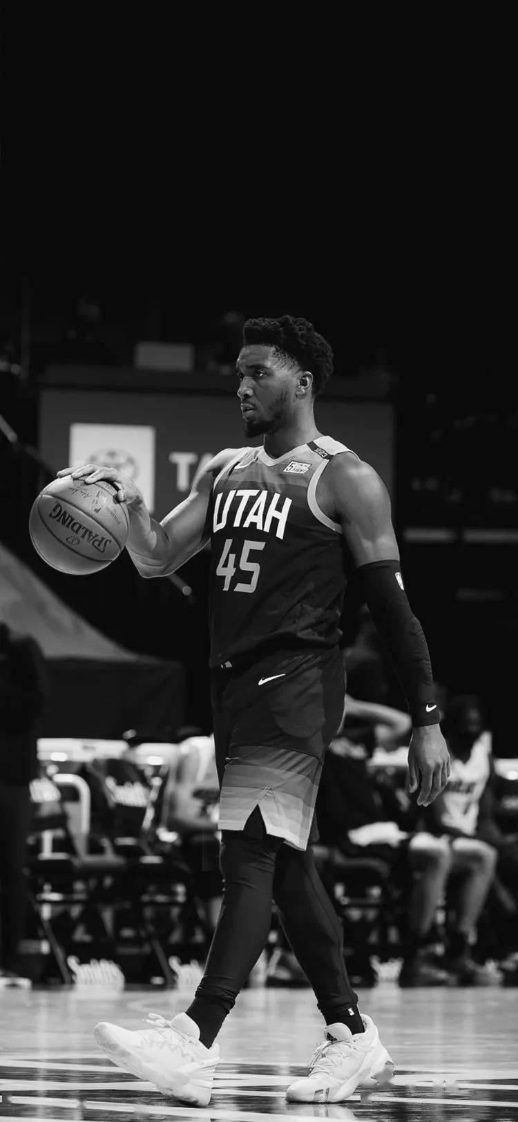 仅仅靠天赋 仅仅靠天赋