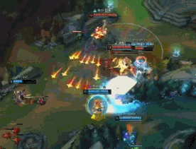 对全谷物食 对全谷物食